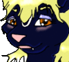 skunkubus