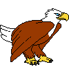 colinstu