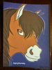 HairyHorsey