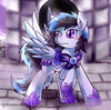RainbowDash77