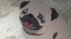 HappyPug034