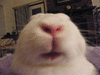 Bunster07