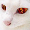 Bakeneko