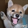 wag
