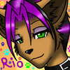 RioDingo