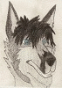 WolfLover13