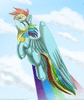 RainBowDash4Ever365