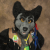 salemwolf