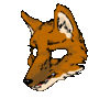 Noxy