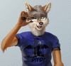 CoyoteTime