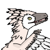 WinterRaptor