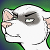 FerretBueller