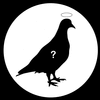 angelpigeon