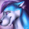 DinHusky