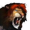 dydi92theLion