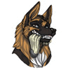 NorthShepherd