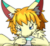 kindfox