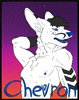 ChevronDaFox