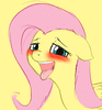 ILoveMyBrick