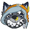 WickedSpaceDog