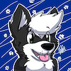 wolffkey