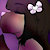 RibbonsTheKitten