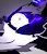 RenWildtail