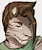 StrayCat