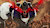 NomadBarbatos84