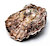 Oyster