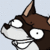 drraccoon
