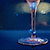 NewYearToast2