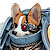 corgimarine