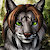 SilverLynx