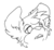 marshallfox