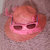 HattieTheHat