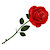 RedRose87
