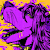 Raticky
