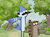 LilOddy2