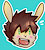 RabbitDX