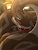 SeductiveSerpent