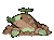 lechet