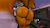 BootyBoi