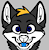 Jdog84