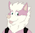 DrakeArcanine