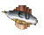 ExoticUnderground