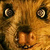 ozymandiaspossum