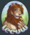 leeuw