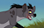 FacehuggedHyena