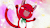 happythered